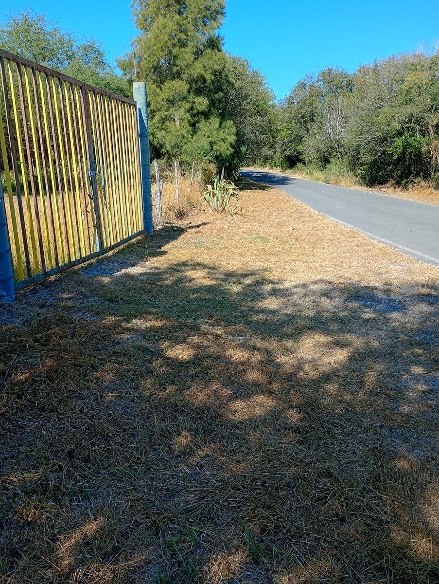 Lote em Los Nogales, Linares, foto 20 de 21