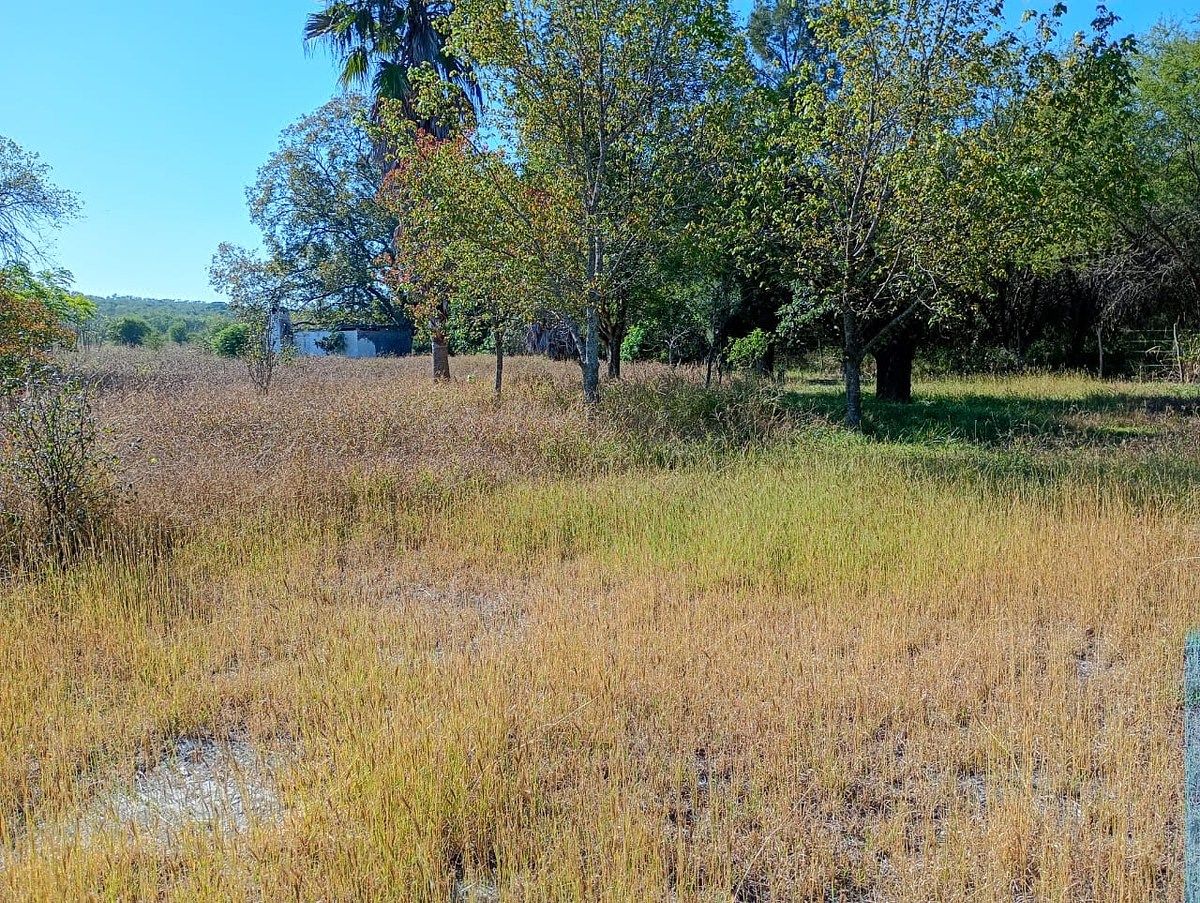 Lote em Los Nogales, Linares, foto 21 de 21