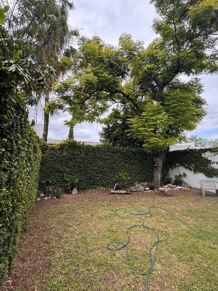 Casa em Olímpico, San Pedro Garza García, foto 2 de 18