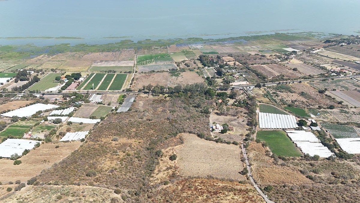 TERRENO EN VENTA EN JOCOTEPEC - foto 1