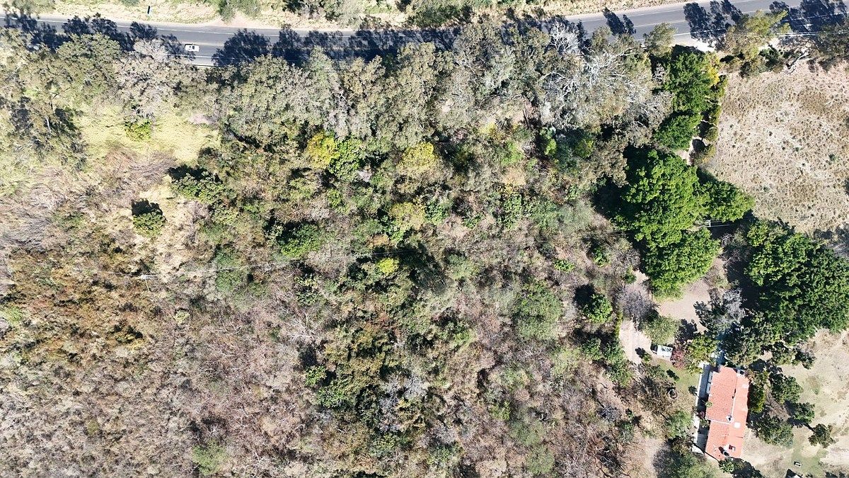 TERRENO EN VENTA EN JOCOTEPEC - foto 3