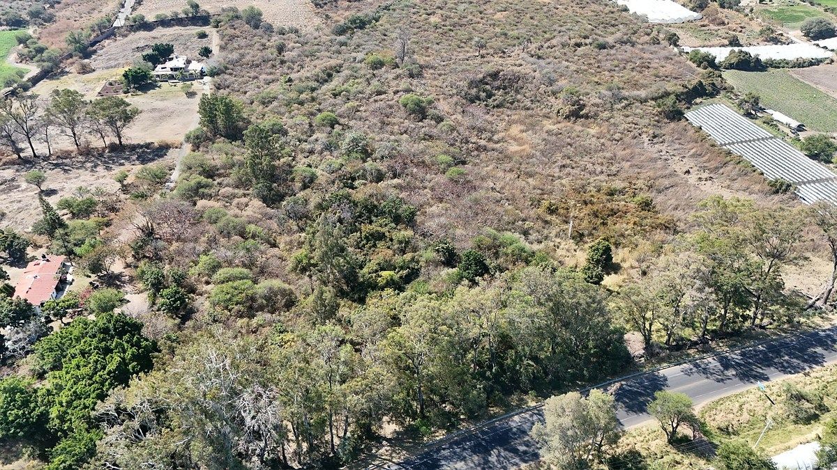 TERRENO EN VENTA EN JOCOTEPEC - foto 5