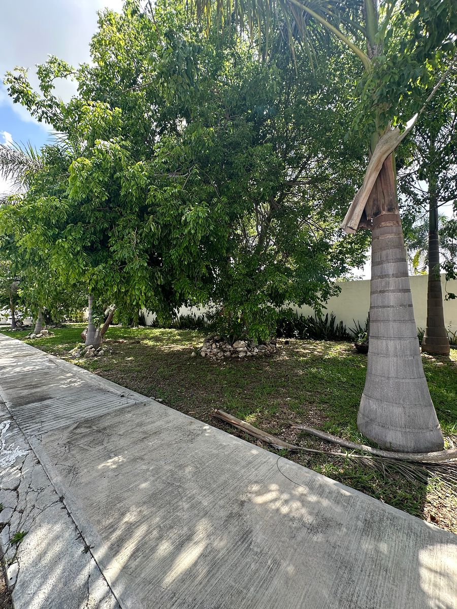 Casa en San Juan Bautista, Mérida, foto 28 de 29