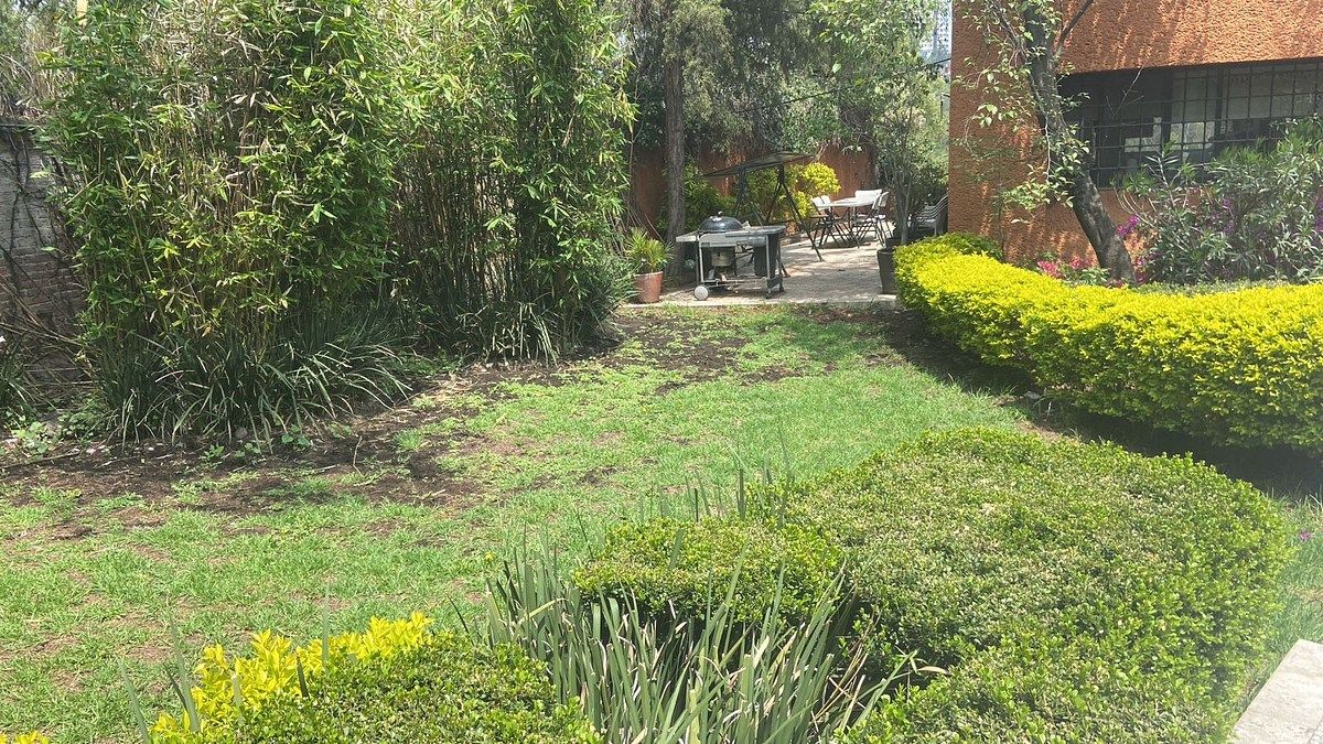 Jardín delantero y terraza lateral, foto 9 de 50