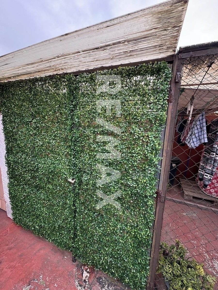 Apartamento em Popotla, Miguel Hidalgo, foto 8 de 11