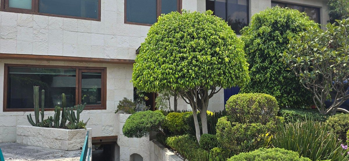 Casa en Venta en Jardines del Pedregal Rayo Vende ®, foto 15 de 15