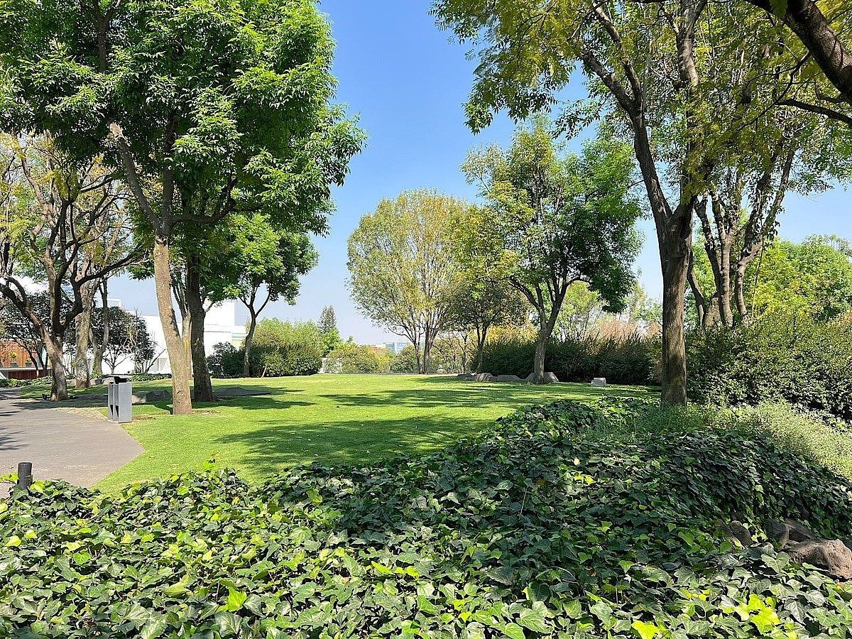 Departamento en Lomas del Pedregal Framboyanes, Tlalpan, foto 9 de 20