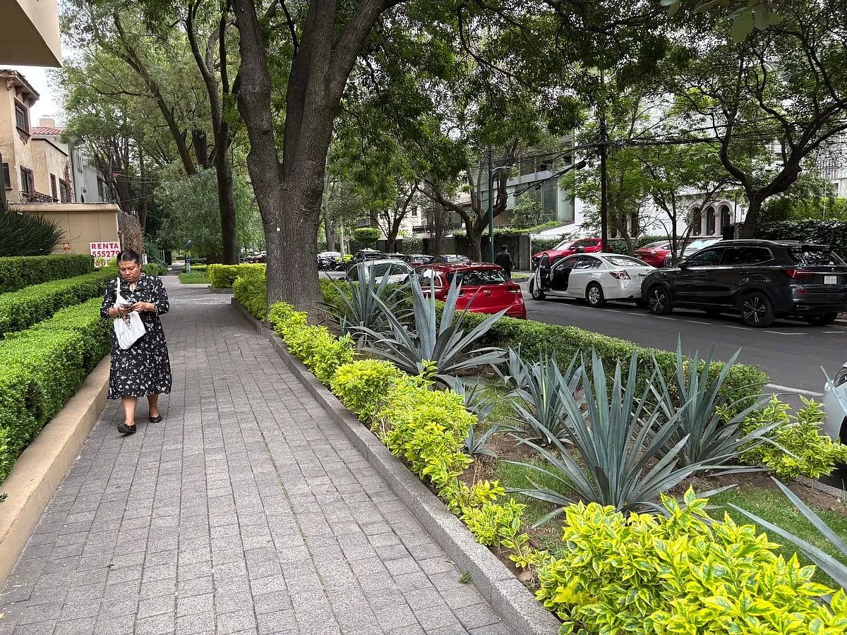 Local em Polanco III Sección, Miguel Hidalgo, foto 14 de 14