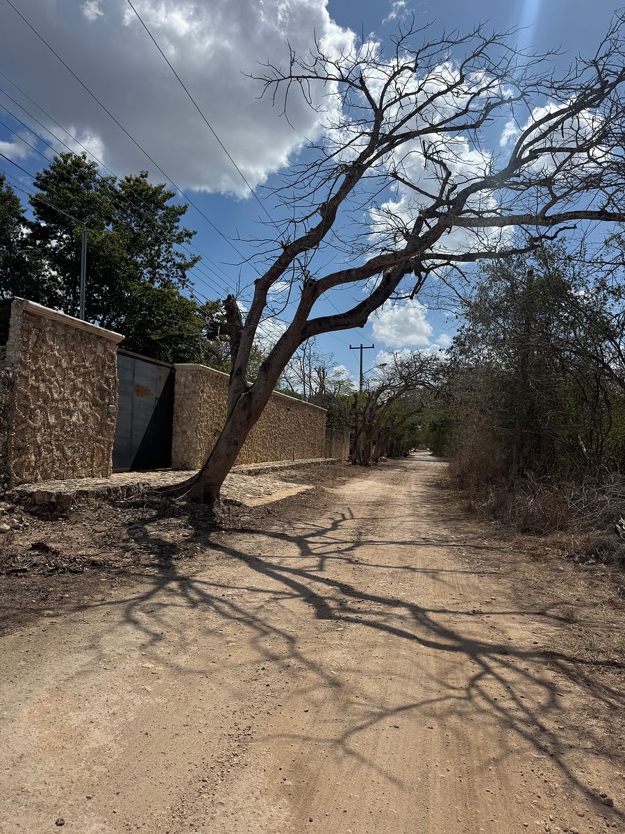 Terreno en Cholul, Mérida, foto 4 de 9