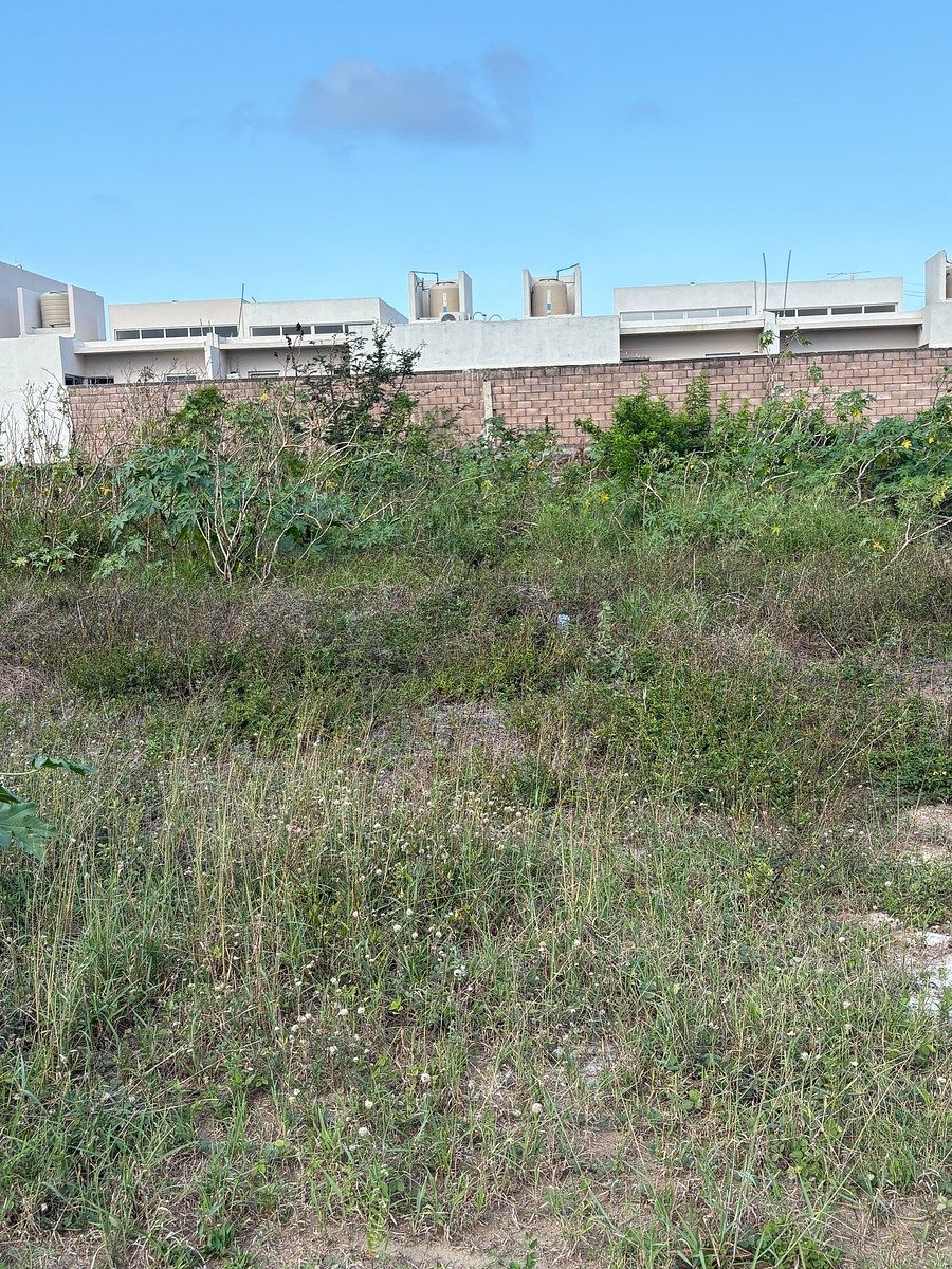 Lot in Graciano Sánchez Romo, Boca del Río, photo 10 of 10