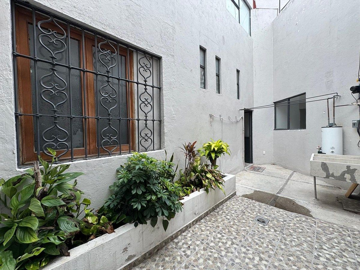 patio trasero, foto 16 de 19