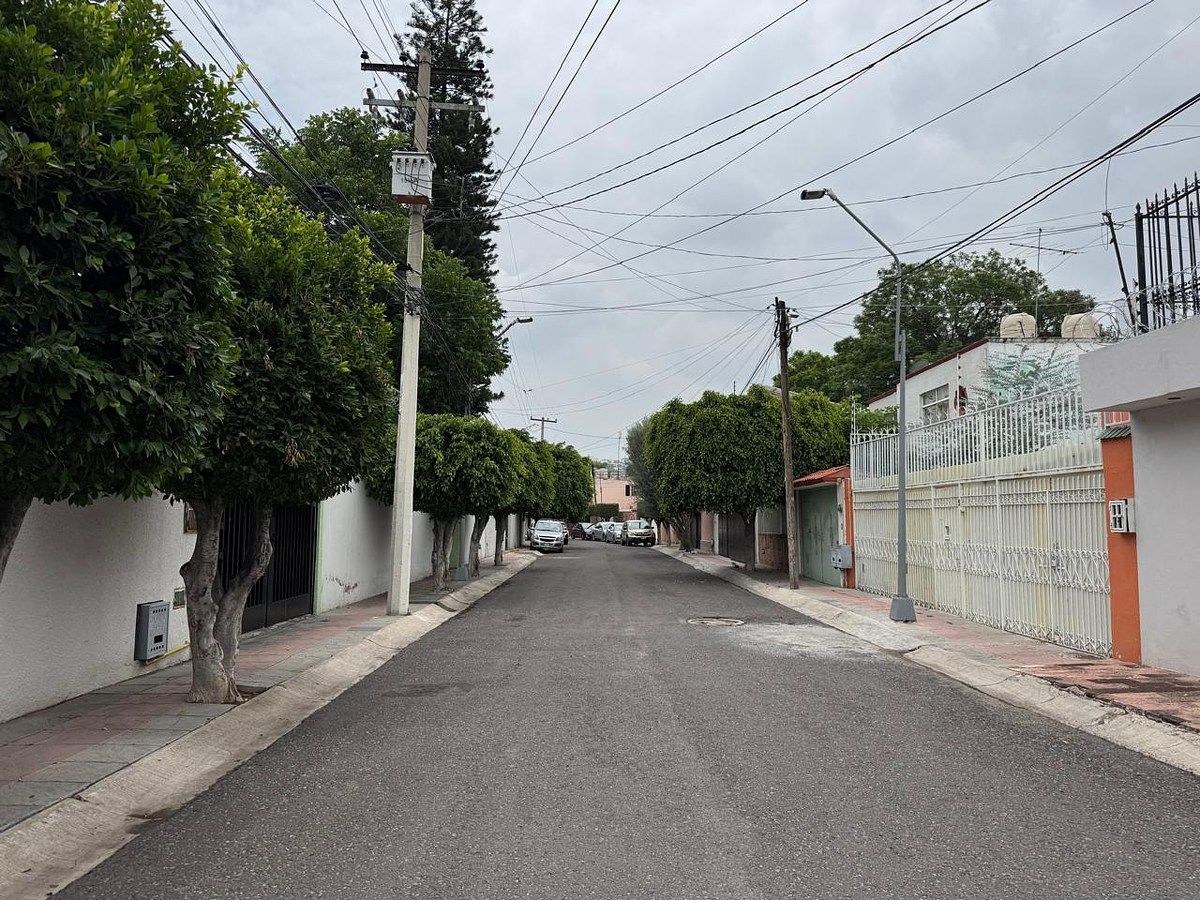 calle orquídeas, foto 19 de 19