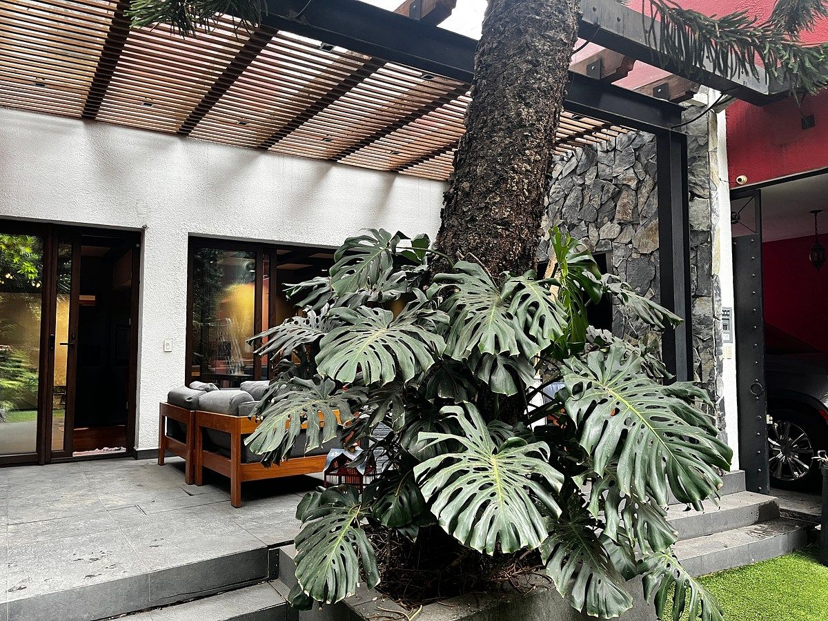 House in Del Carmen, Coyoacán, photo 6 of 39