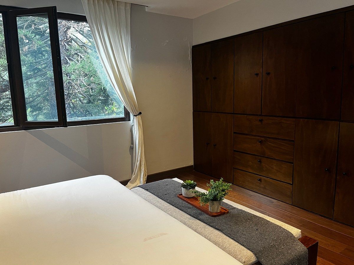 House in Del Carmen, Coyoacán, photo 22 of 39