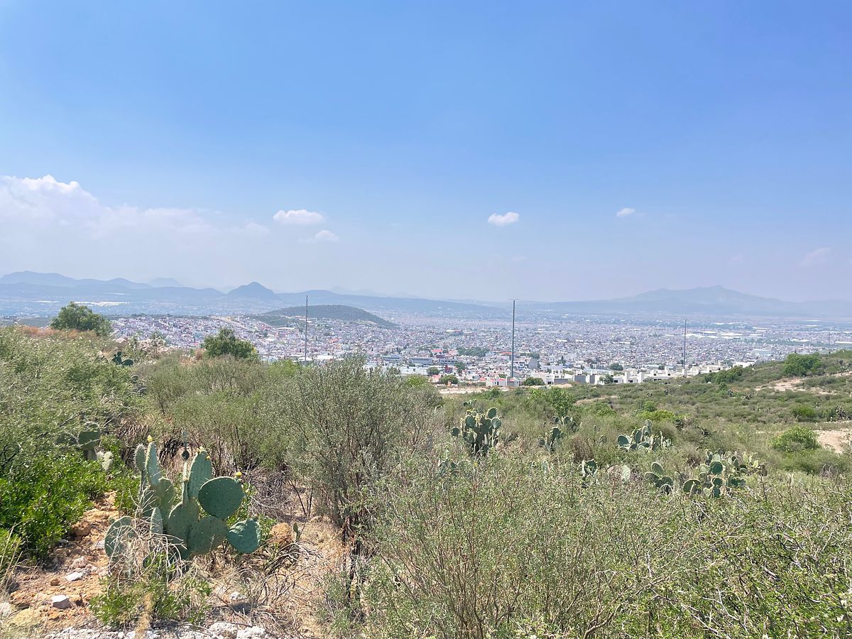 LOTE EN VENTA FRACC. CAMINO REAL, foto 1 de 5