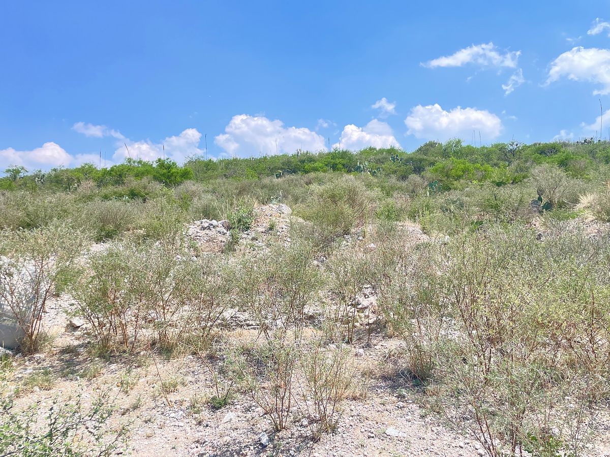 Terreno en Ejido Ampliación el Saucillo, Mineral de la Reforma, foto 3 de 5