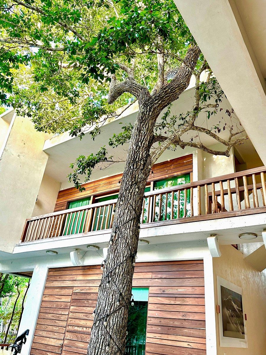 Casa em Cancún Centro, Benito Juárez, foto 6 de 32
