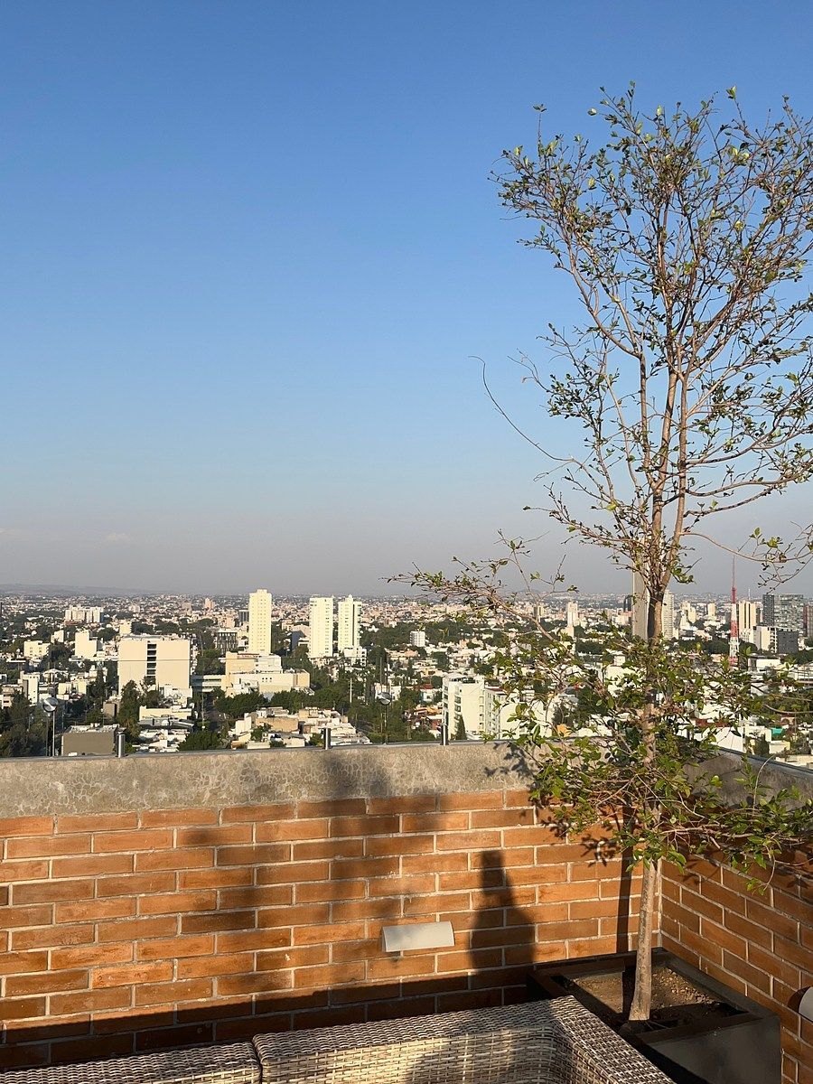 Apartamento em Terrazas Monraz, Guadalajara, foto 6 de 17