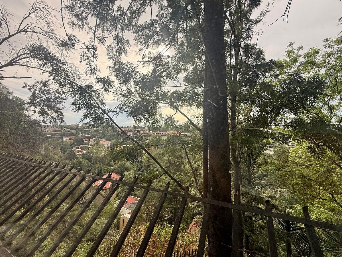 Apartamento em Lomas de Reforma, Miguel Hidalgo, foto 16 de 31