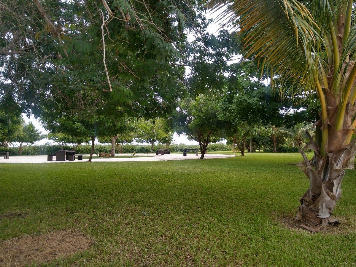 Lote em Dzidzilché, Mérida, foto 10 de 14