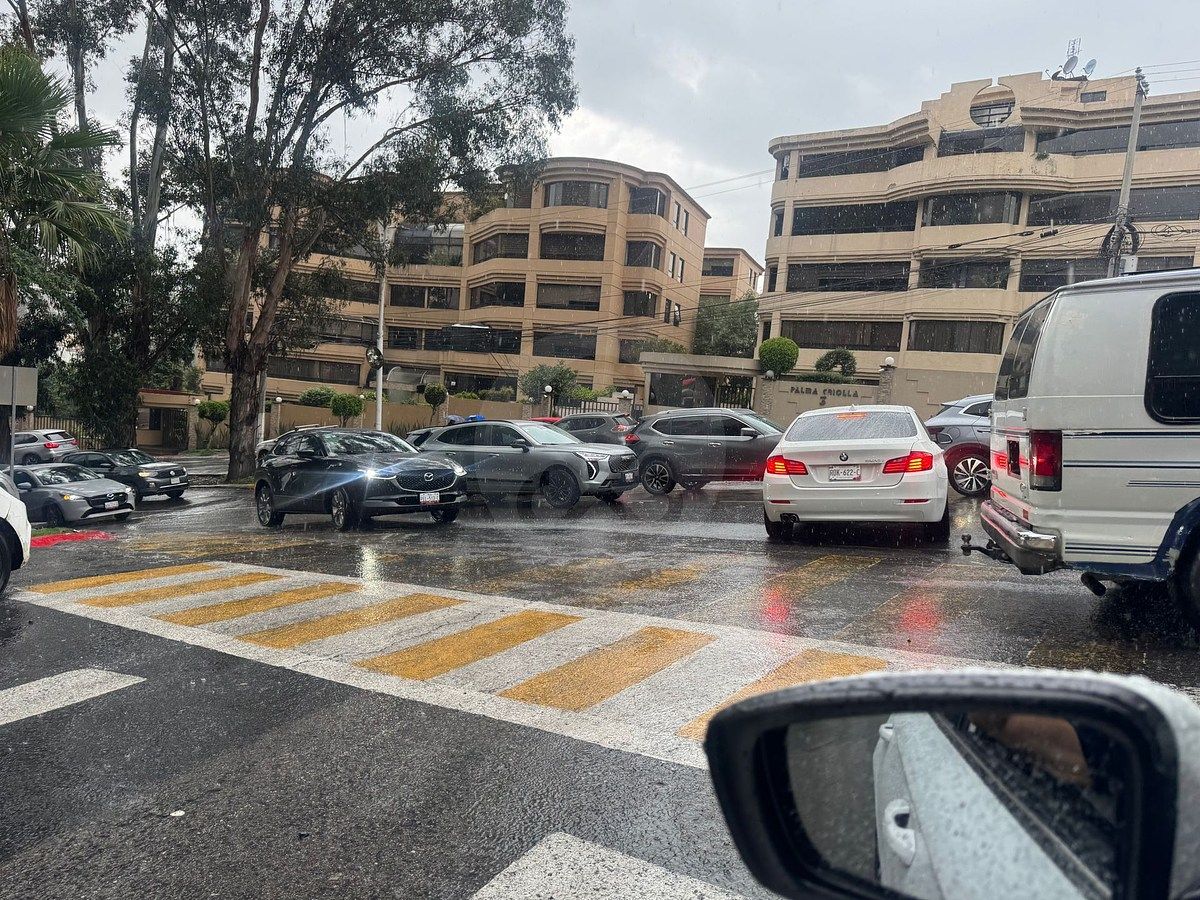 Apartamento mobiliado para alugar em Palma Criolla, foto 1 de 50