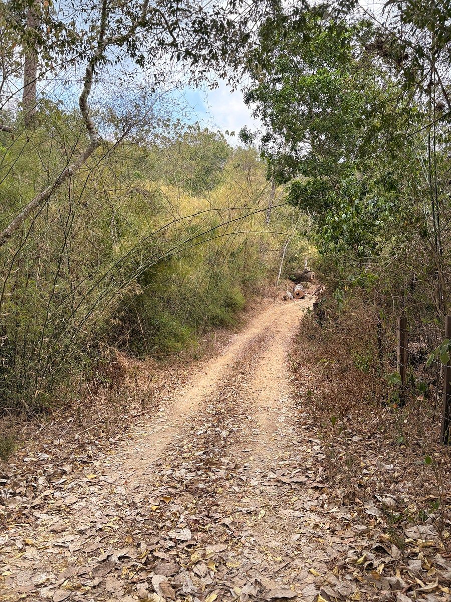 Terreno en La Hermita, Cabo Corrientes, foto 8 de 24