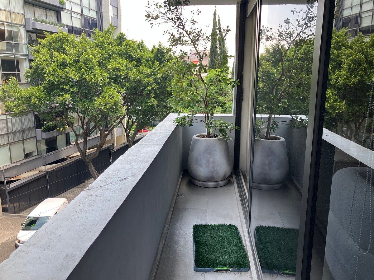 Departamento en Lomas de Chapultepec I Sección, Miguel Hidalgo, foto 10 de 33