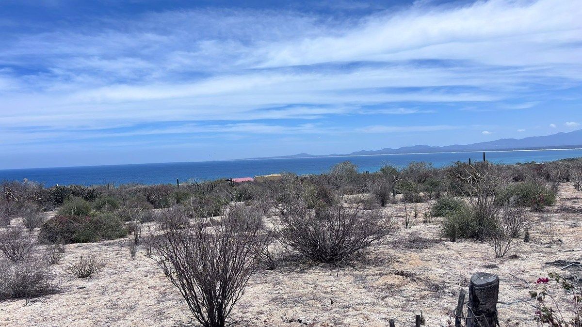 Lot in El Sargento, La Paz, photo 4 of 5