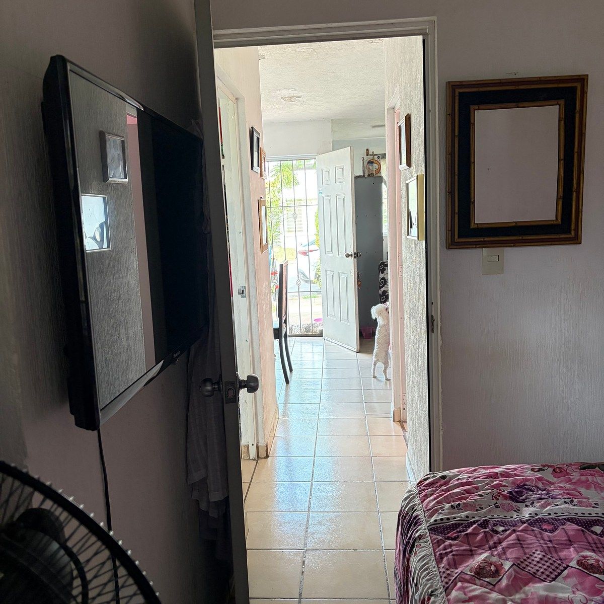 Casa em Mirador del Bosque, Zapopan, foto 9 de 18