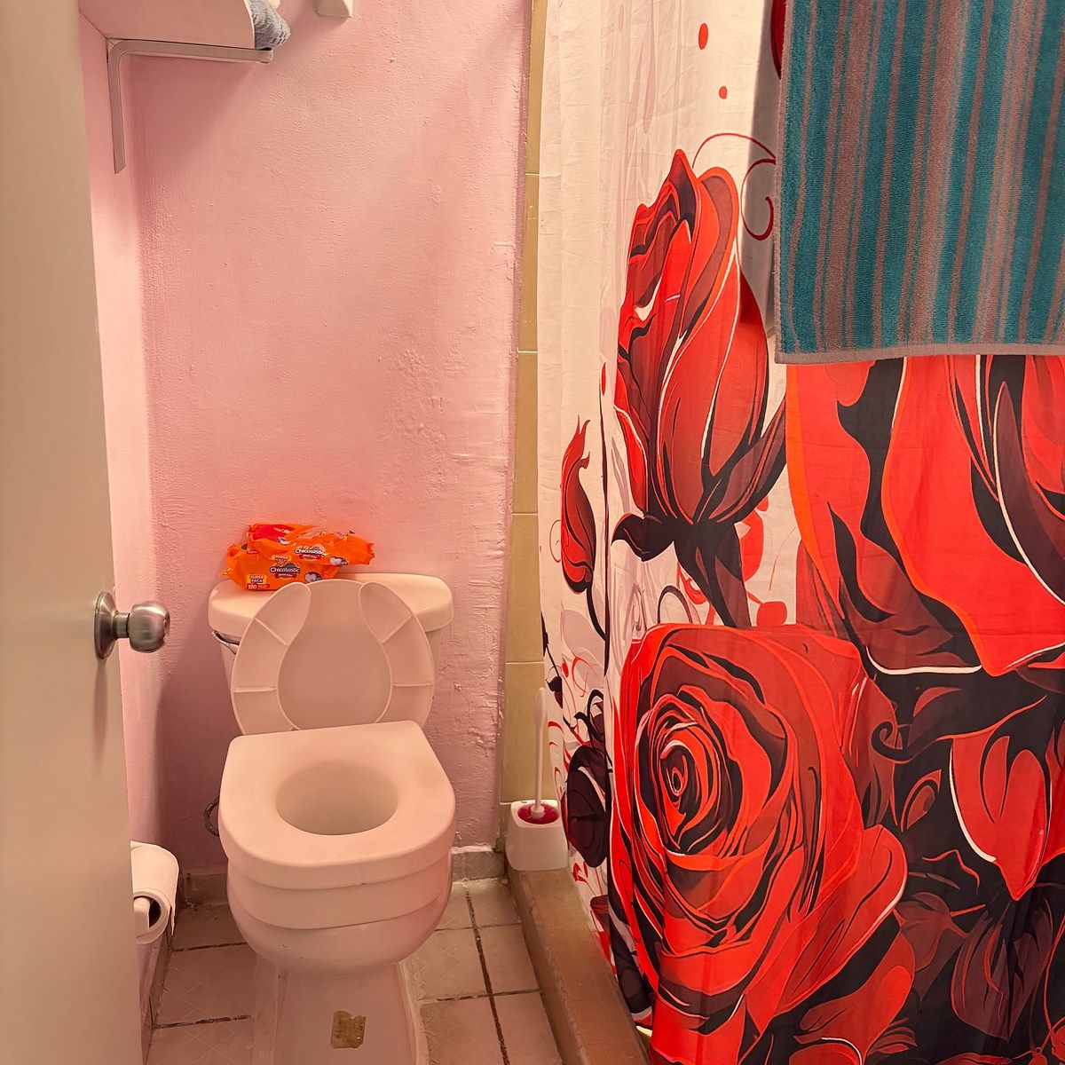 Casa em Mirador del Bosque, Zapopan, foto 14 de 18