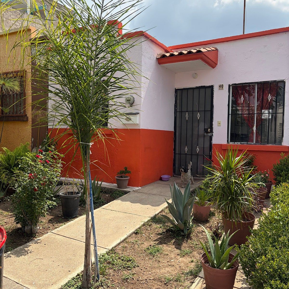 Casa em Mirador del Bosque, Zapopan, foto 2 de 18