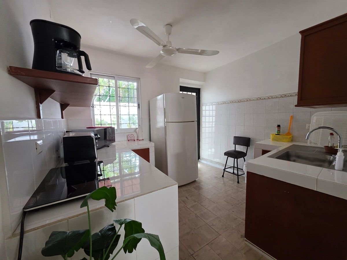 Local comercial en Mérida Centro, Mérida, foto 6 de 15