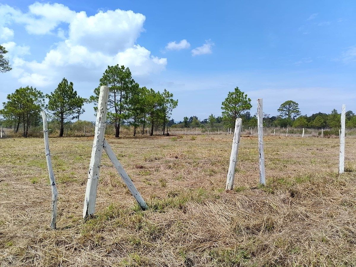 Lot in Copalar, La Trinitaria, photo 3 of 16