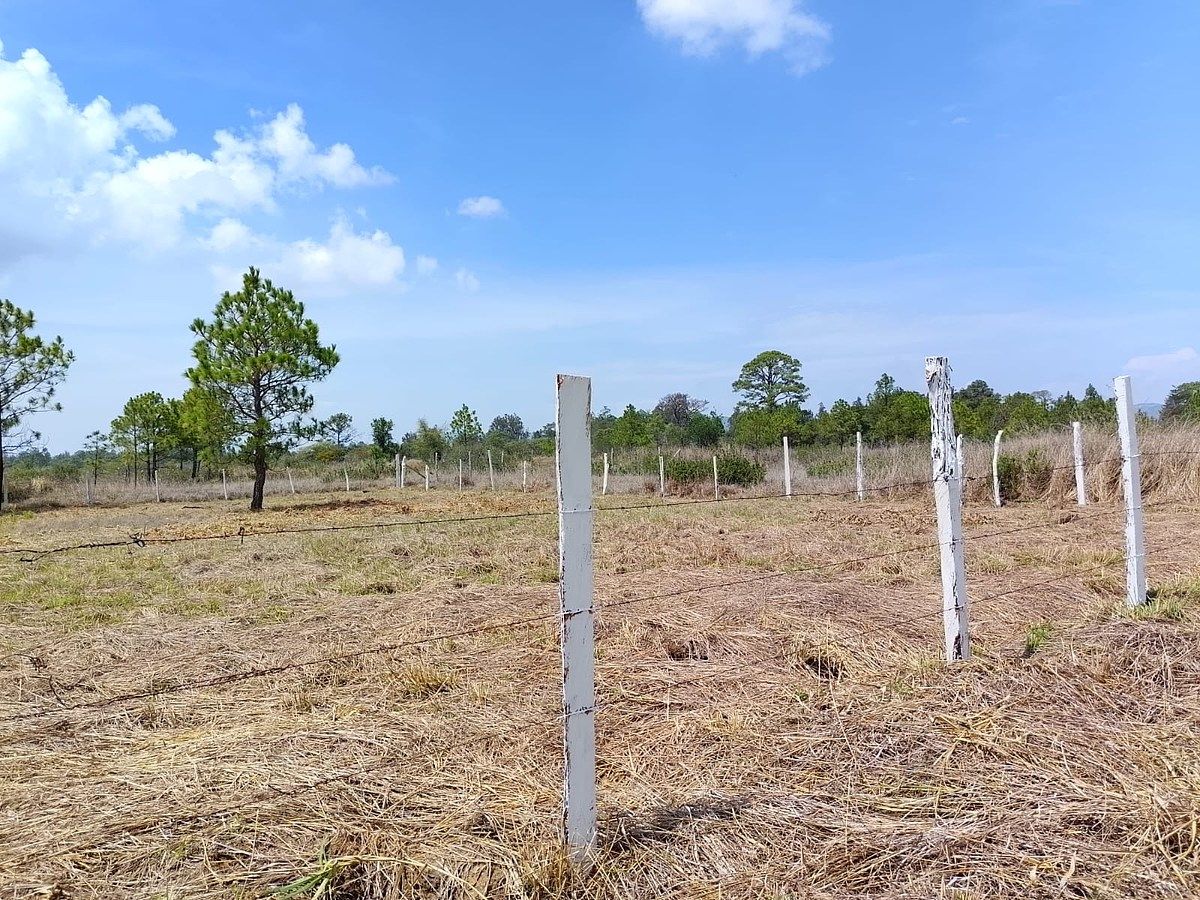 Lot in Copalar, La Trinitaria, photo 4 of 16