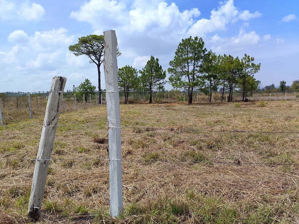 Lot in Copalar, La Trinitaria, photo 2 of 16