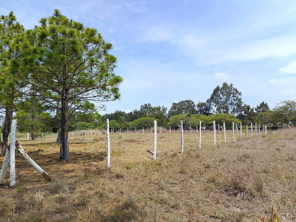 Lot in Copalar, La Trinitaria, photo 5 of 16