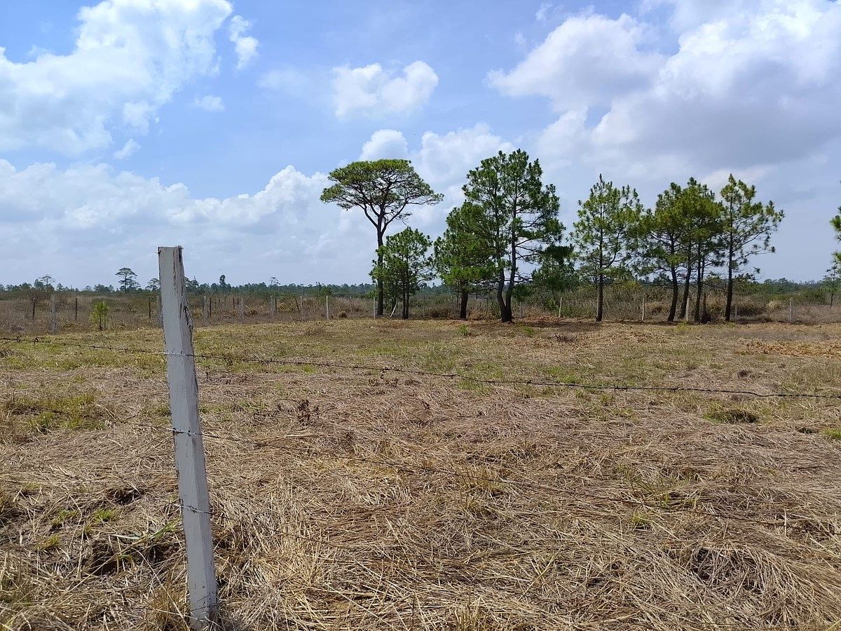 Lot in Copalar, La Trinitaria, photo 6 of 16