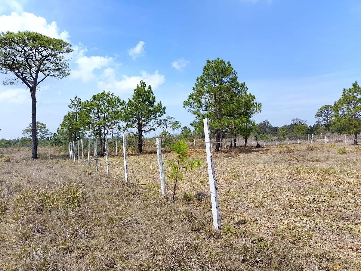Lot in Copalar, La Trinitaria, photo 7 of 16