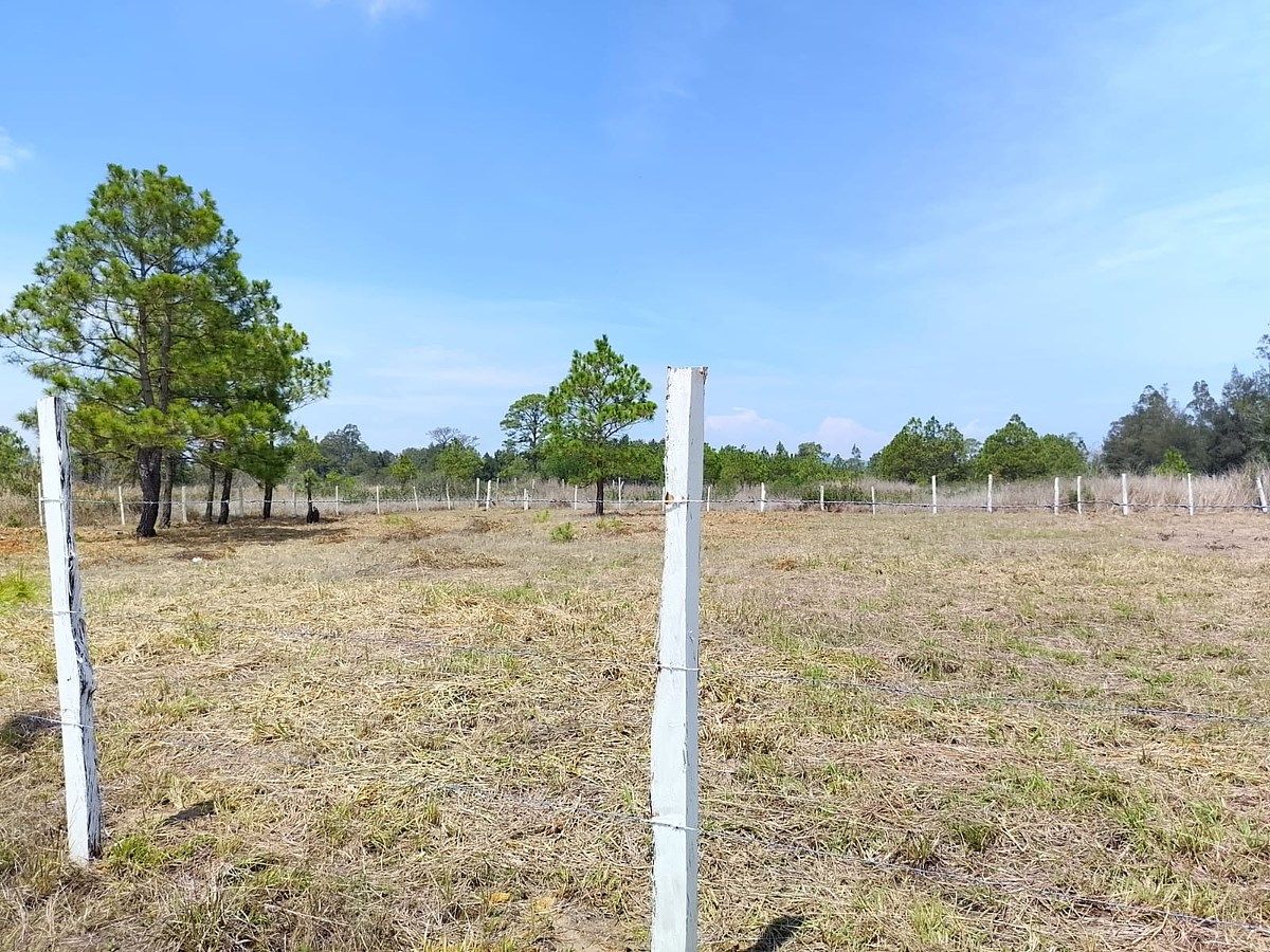 Lot in Copalar, La Trinitaria, photo 10 of 16