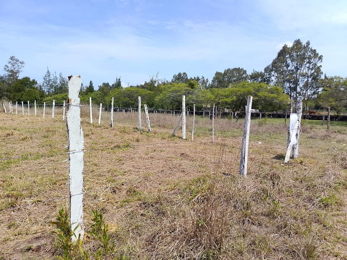 Lot in Copalar, La Trinitaria, photo 9 of 16
