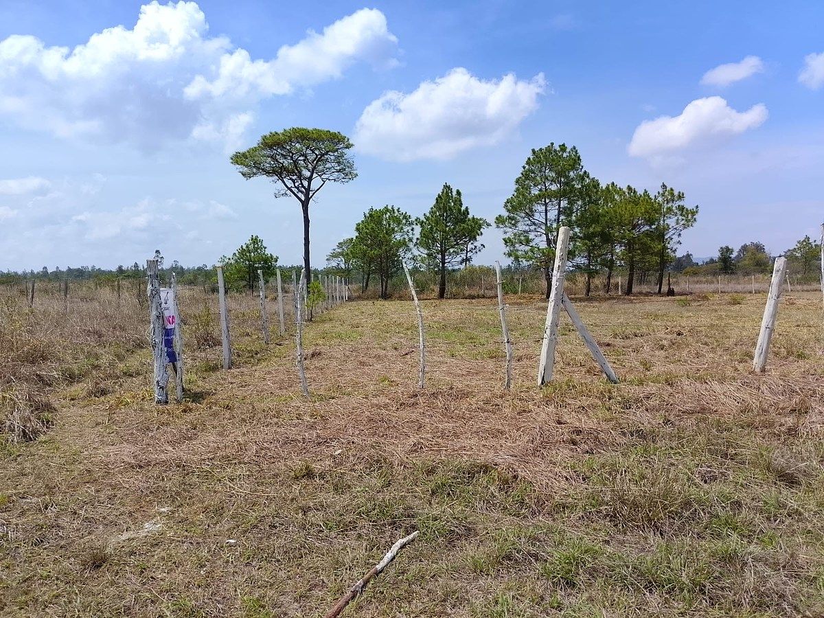 Lot in Copalar, La Trinitaria, photo 11 of 16