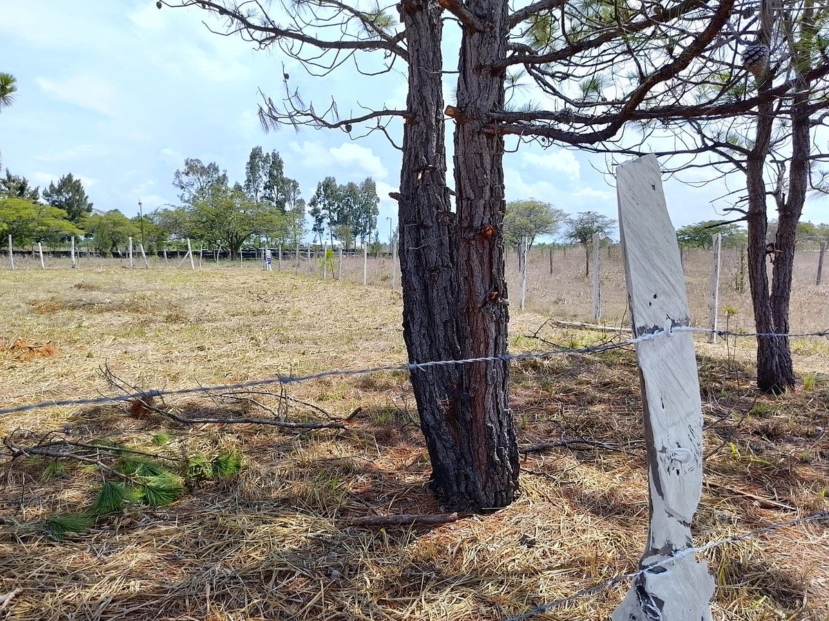 Lot in Copalar, La Trinitaria, photo 12 of 16