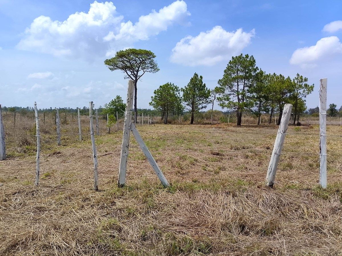 Lot in Copalar, La Trinitaria, photo 14 of 16