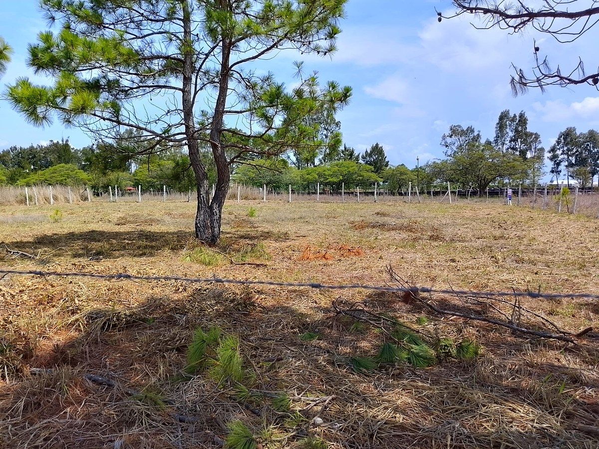 Lot in Copalar, La Trinitaria, photo 13 of 16