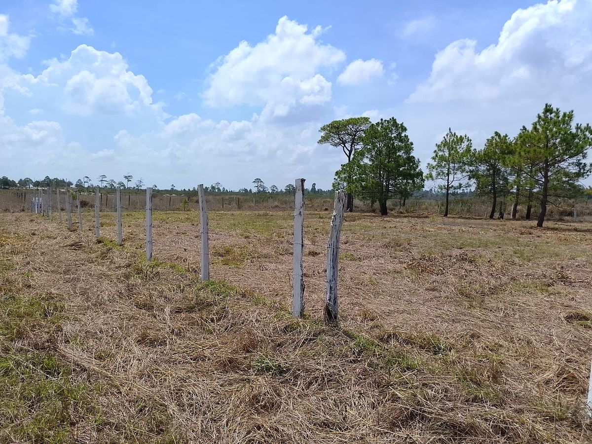 Lot in Copalar, La Trinitaria, photo 15 of 16