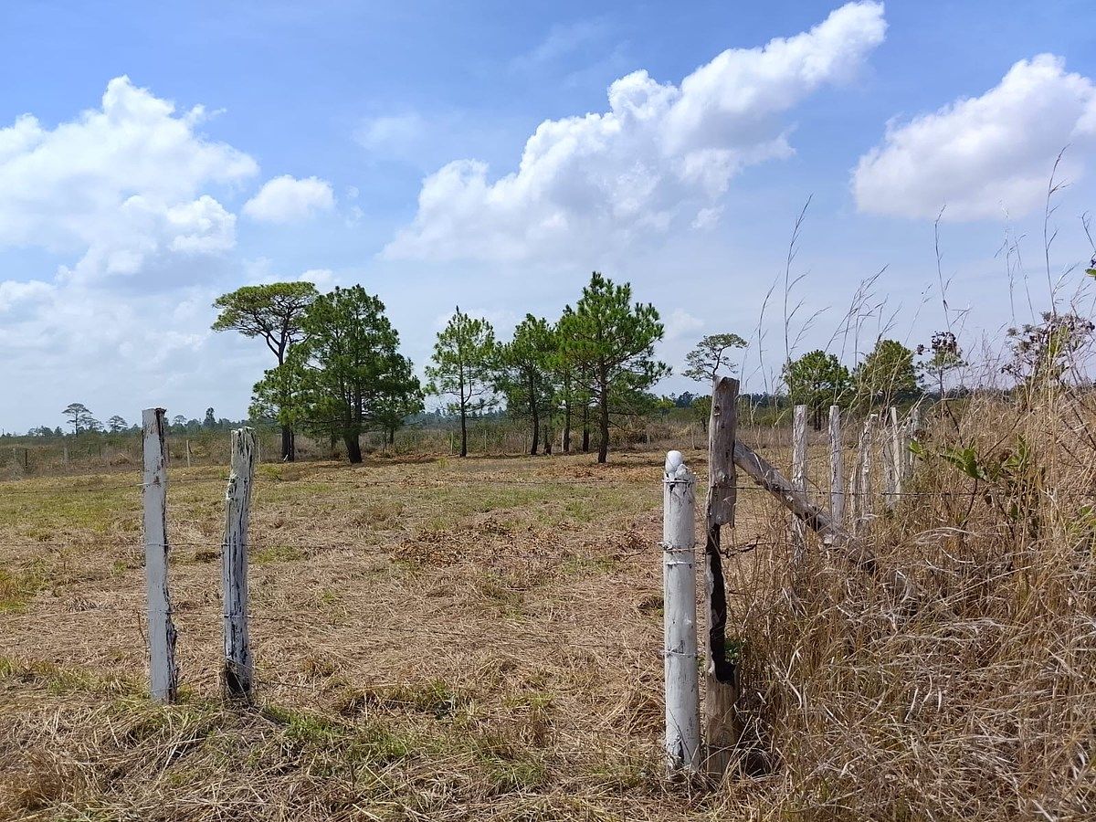 Lot in Copalar, La Trinitaria, photo 16 of 16