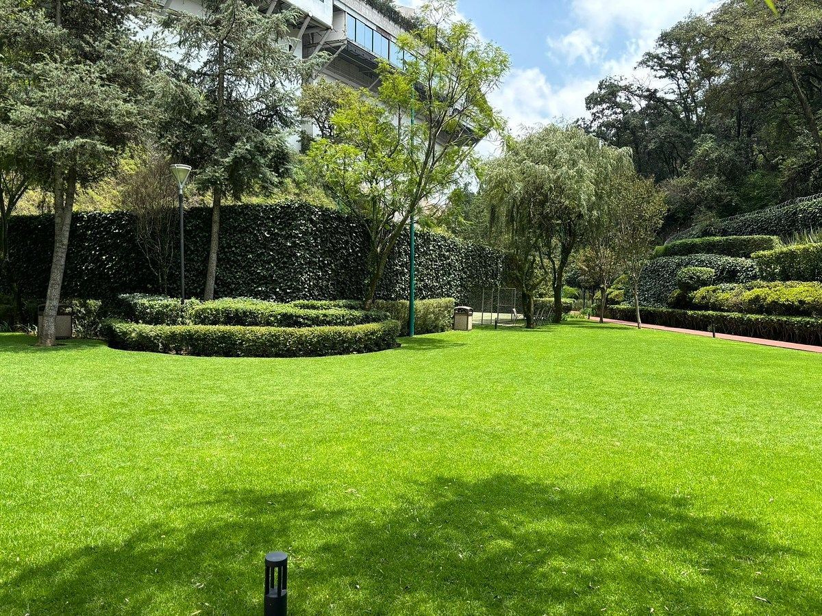 Departamento en Bosques de las Lomas, Cuajimalpa de Morelos, foto 36 de 36