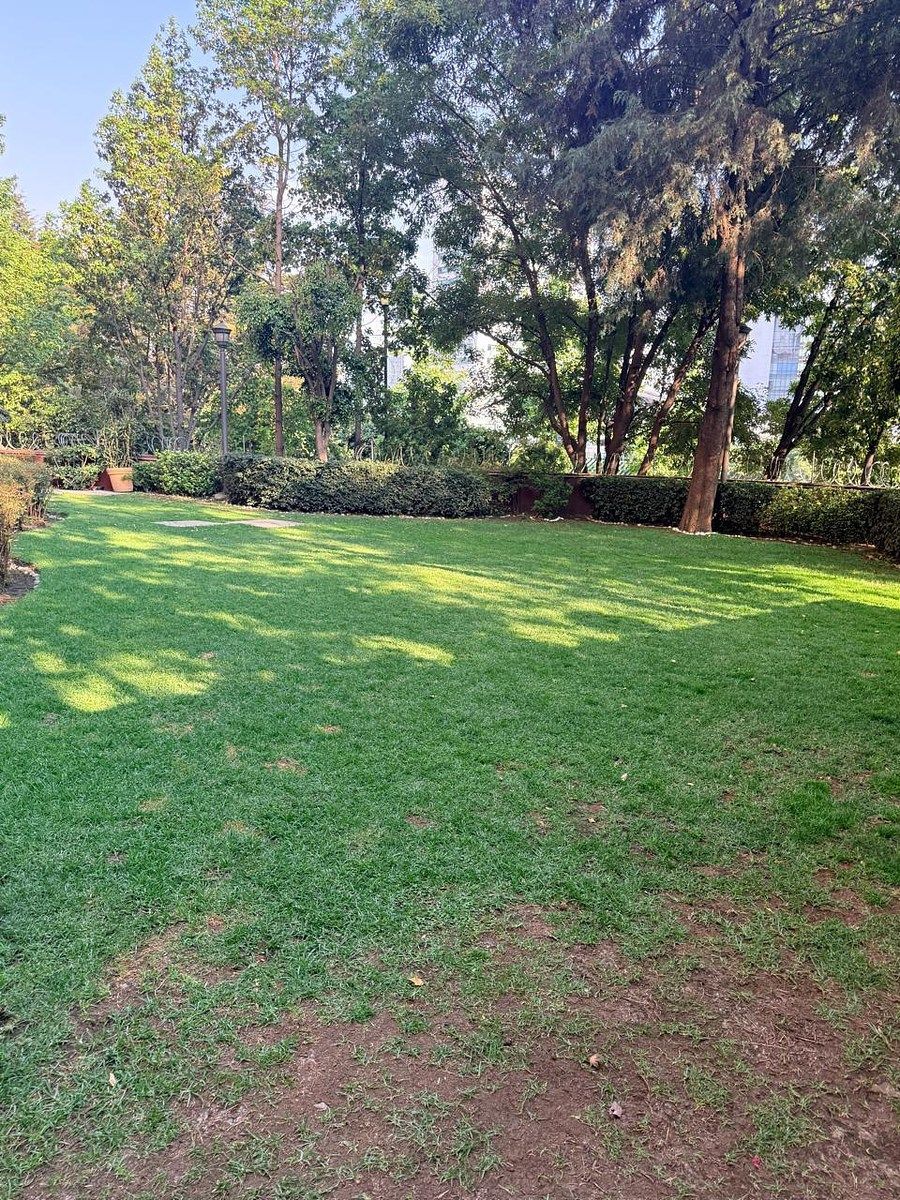 Apartamento em El Yaqui, Cuajimalpa de Morelos, foto 20 de 21