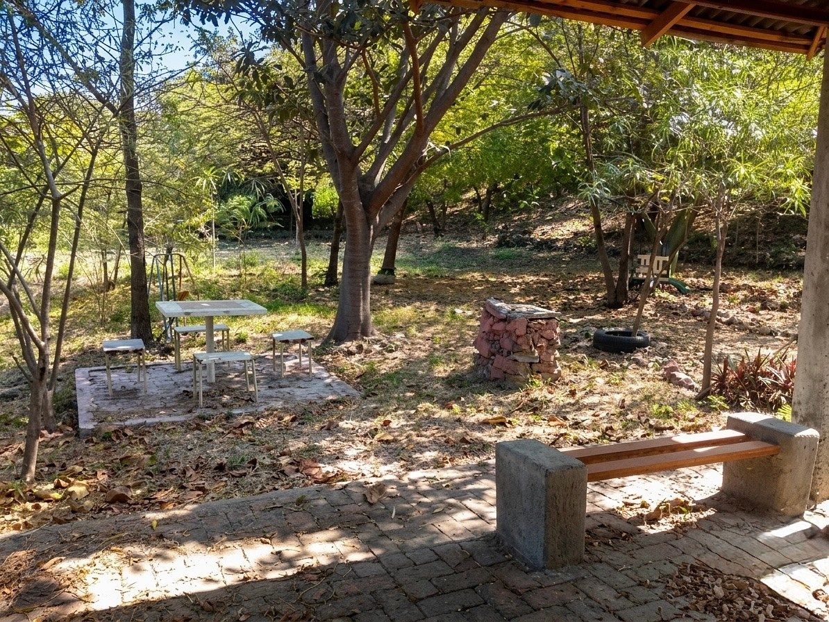 Parque ecológico, foto 8 de 9