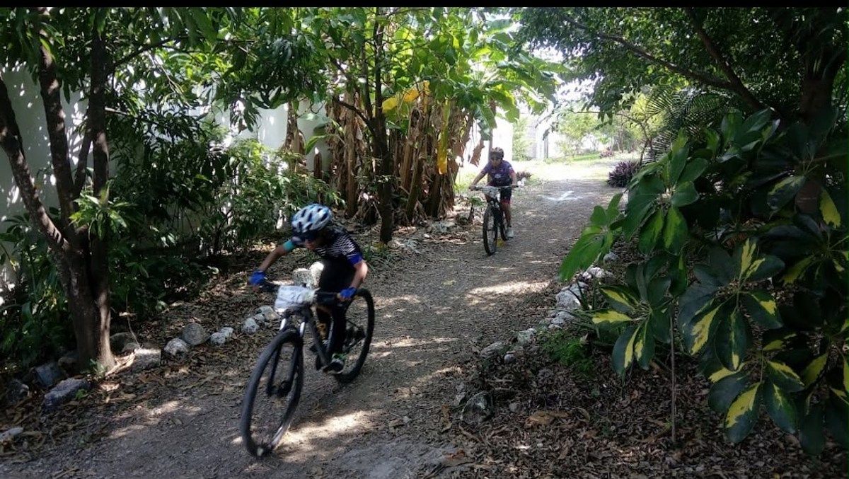 Parque ecológico, foto 9 de 9